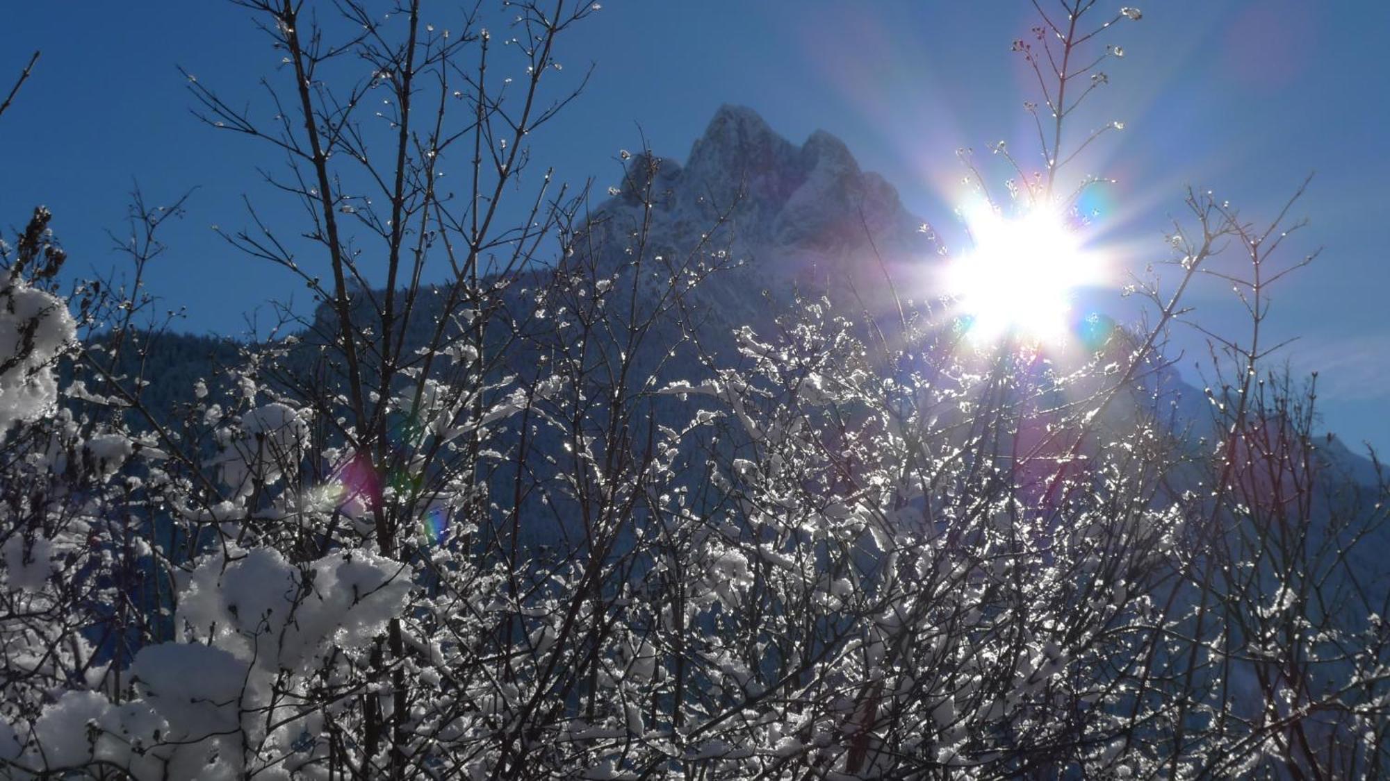 Villa Gemmy Pozza di Fassa Exteriér fotografie