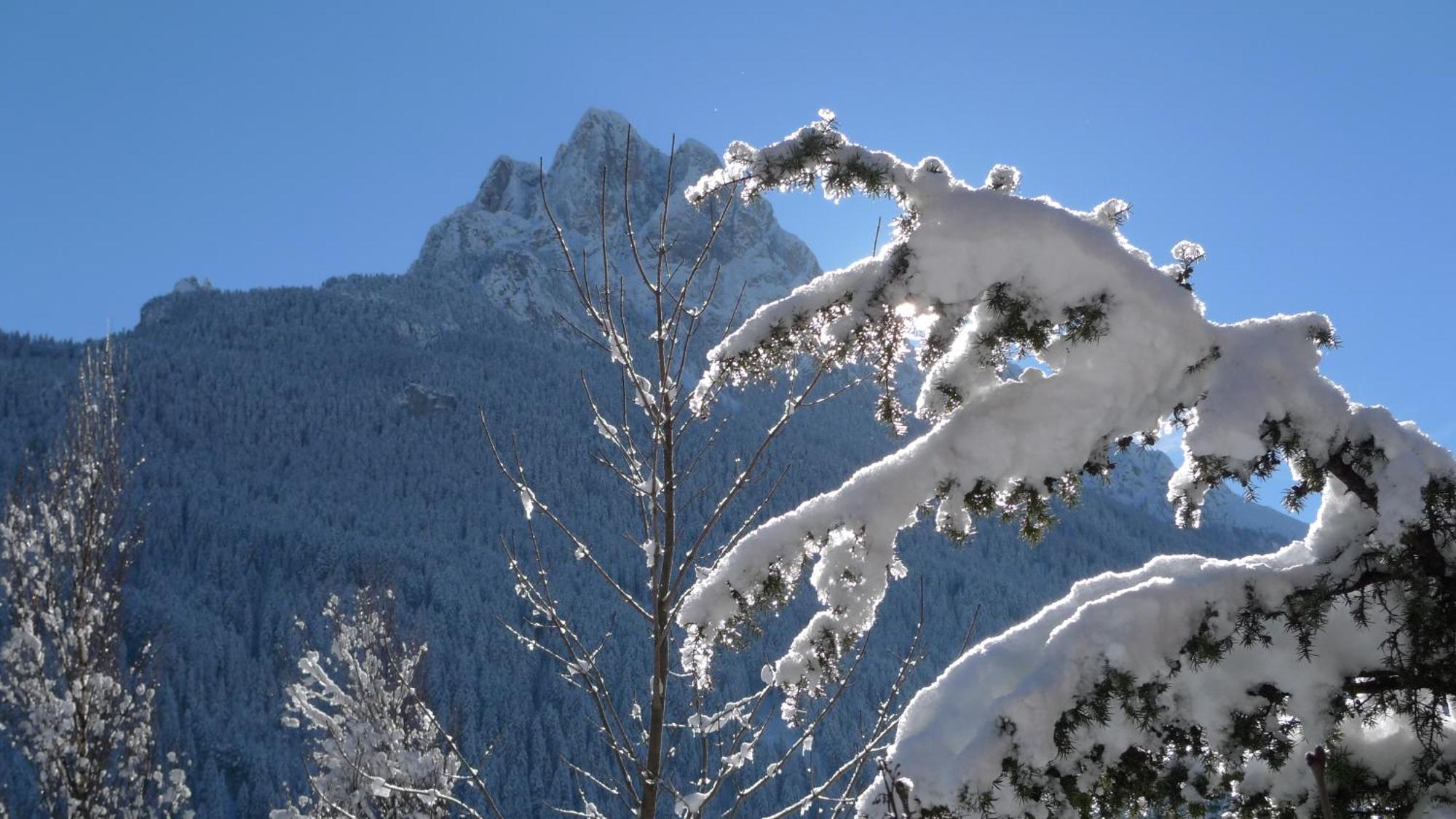 Villa Gemmy Pozza di Fassa Exteriér fotografie